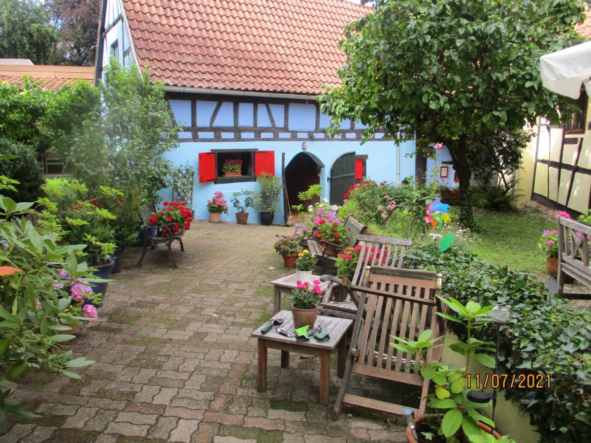 Apartement De Vacances Alsace - Ferienwohnung Elsass - Holiday Apartment Alsace Бишвиллер Экстерьер фото