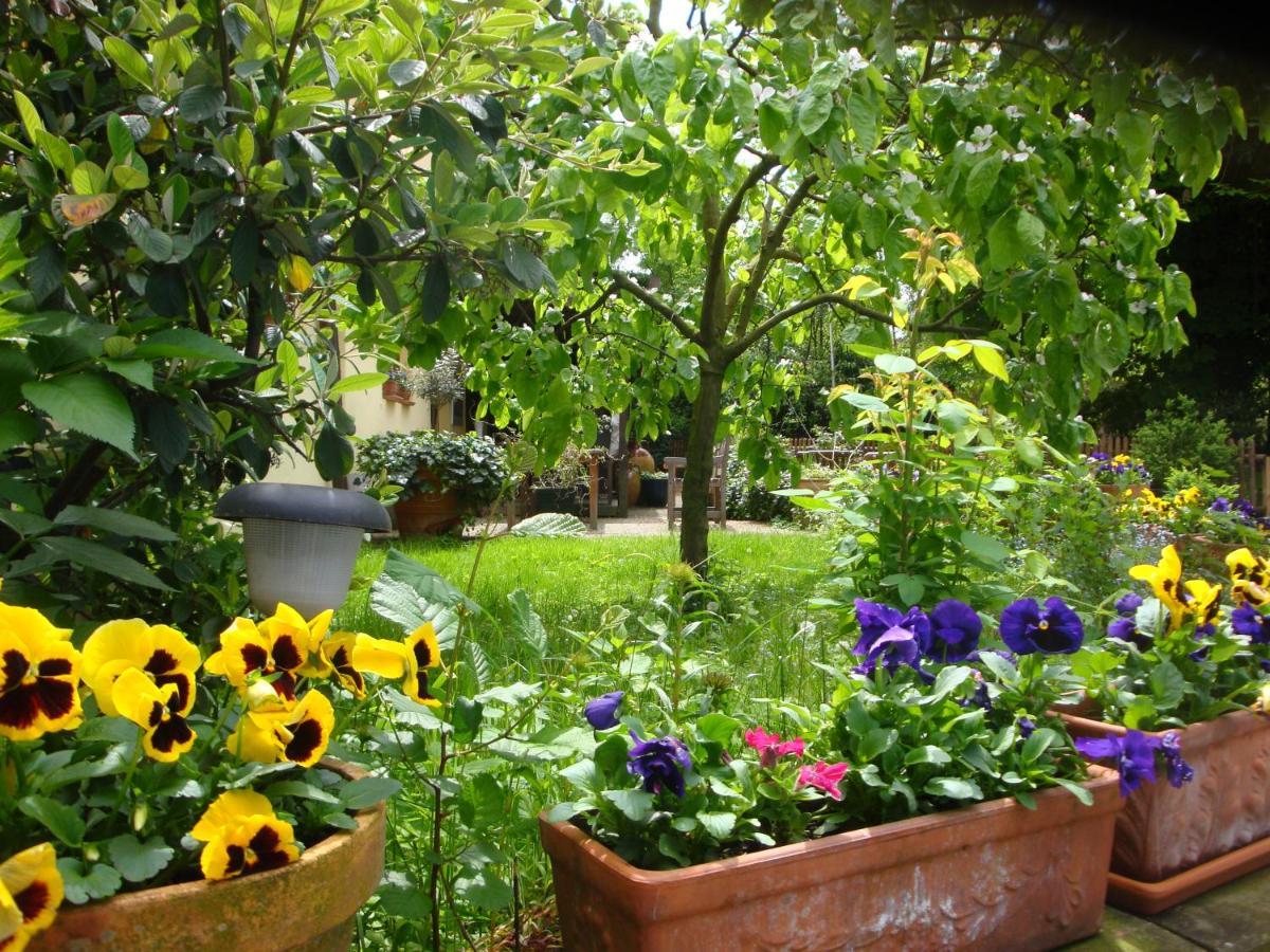 Apartement De Vacances Alsace - Ferienwohnung Elsass - Holiday Apartment Alsace Бишвиллер Экстерьер фото