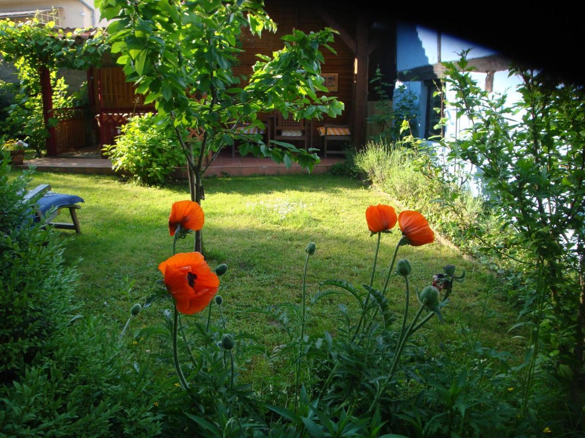 Apartement De Vacances Alsace - Ferienwohnung Elsass - Holiday Apartment Alsace Бишвиллер Экстерьер фото