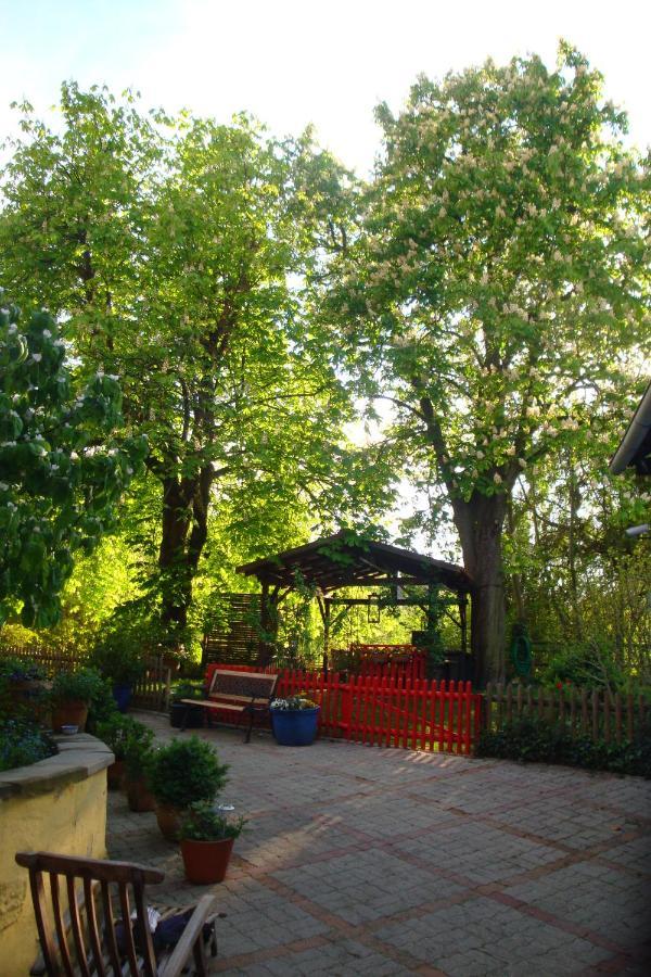 Apartement De Vacances Alsace - Ferienwohnung Elsass - Holiday Apartment Alsace Бишвиллер Экстерьер фото