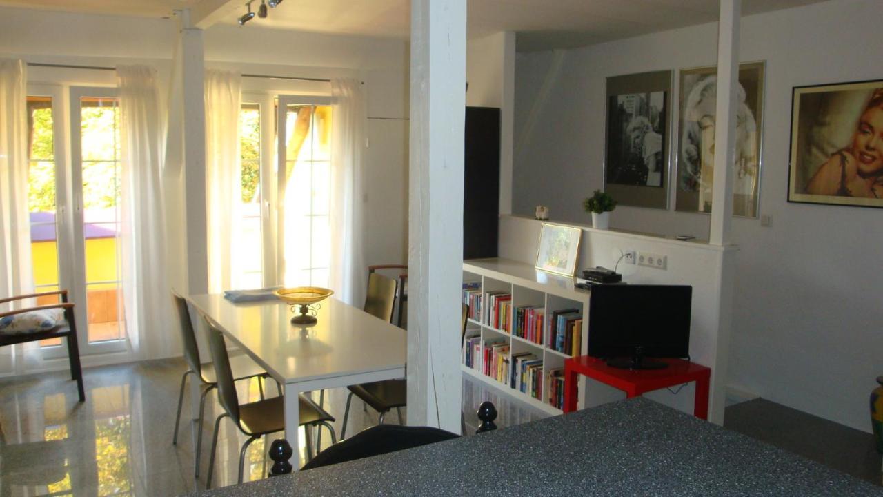 Apartement De Vacances Alsace - Ferienwohnung Elsass - Holiday Apartment Alsace Бишвиллер Экстерьер фото